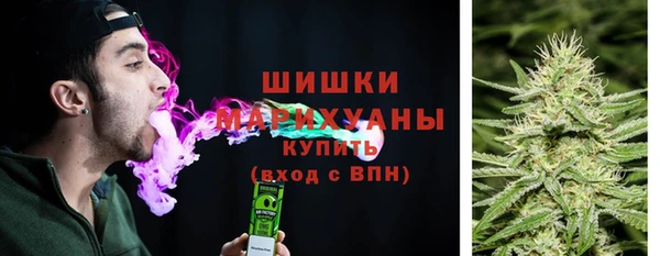 прущая мука Богданович