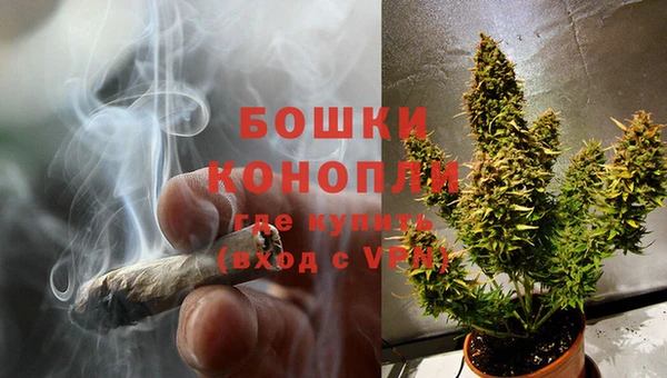 тгк Богородицк