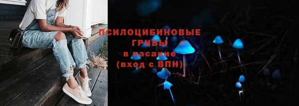 прущая мука Богданович