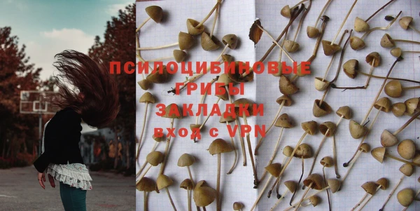 тгк Богородицк