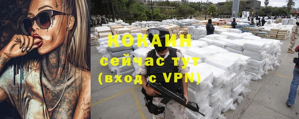 тгк Богородицк