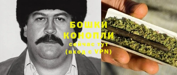 прущие грибы Нягань